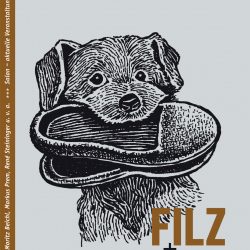 Literaturzeitschrift DUM: Die Sammlung (Erzählung)