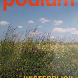 Literaturzeitschrift Podium: Absolution (Erzählung)