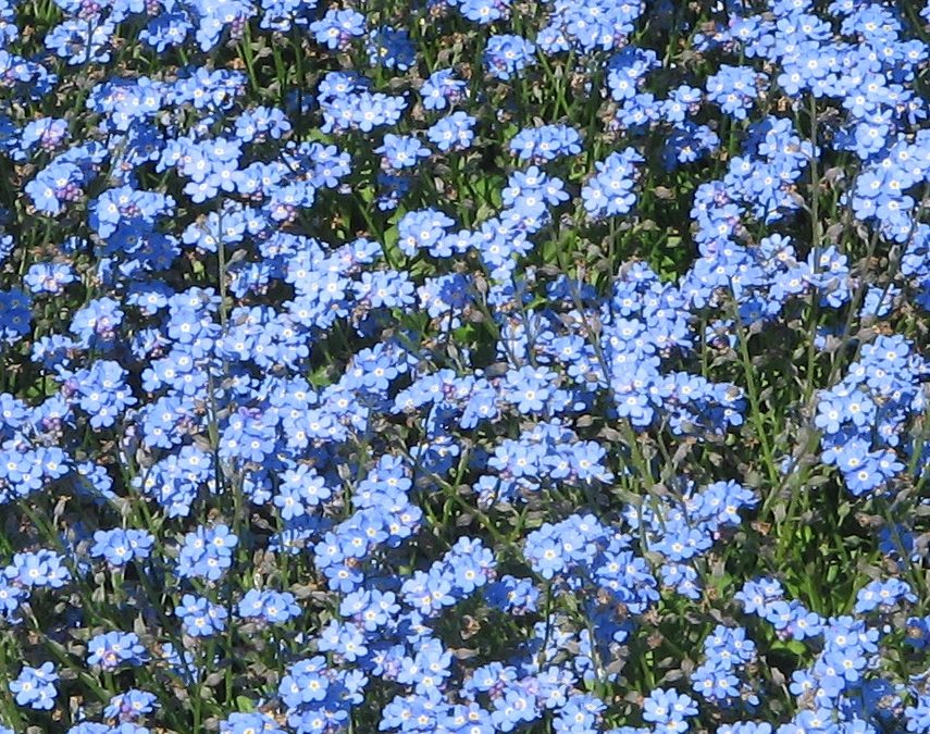 1. Preis: Forum Land Literaturpreis 2009