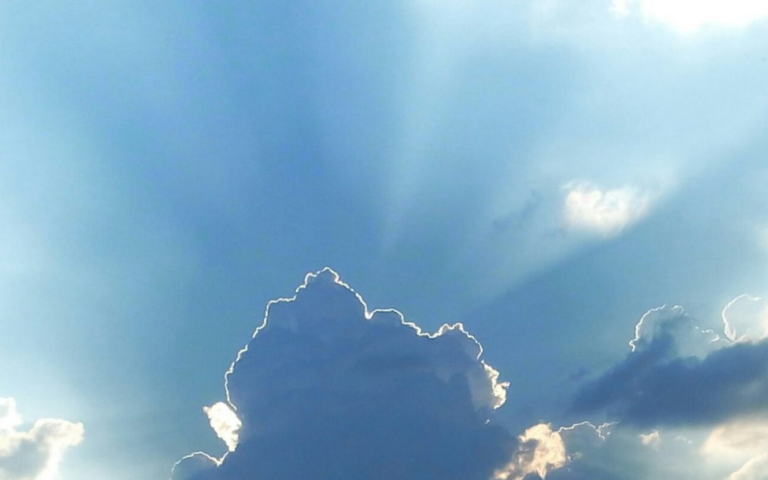 Finale: Wiener Werkstattpreis 2010