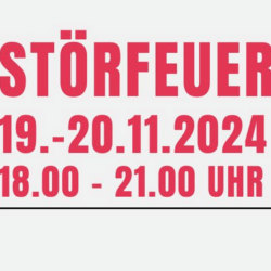 Literaturfestival störfeuer 20.11.2024